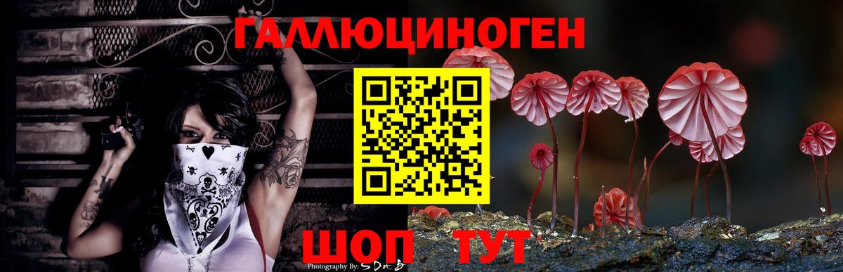 Верхняя Салда  даркнет сайт  Псилоцибиновые грибы Psilocybine cubensis  Вход с VPN  Псилоцибиновые грибы GOLDEN TEACHER 