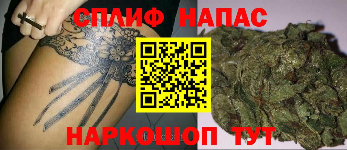 Каннабис OG Kush Верхняя Салда